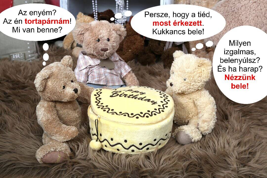 tortaparna Tortapárna